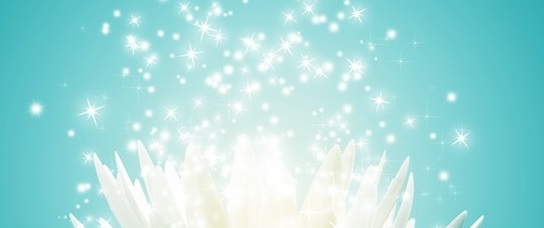 Path to prosperity light lumière (1)